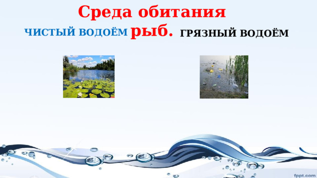 Среда обитания рыб. ЧИСТЫЙ ВОДОЁМ ГРЯЗНЫЙ ВОДОЁМ  
