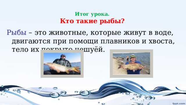 Итог урока.  Кто такие рыбы? Рыбы – это животные, которые живут в воде, двигаются при помощи плавников и хвоста, тело их покрыто чешуёй. 