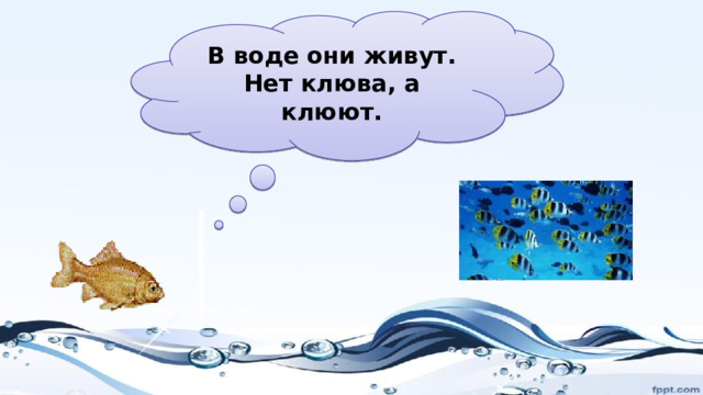 В воде они живут. Нет клюва, а клюют. 