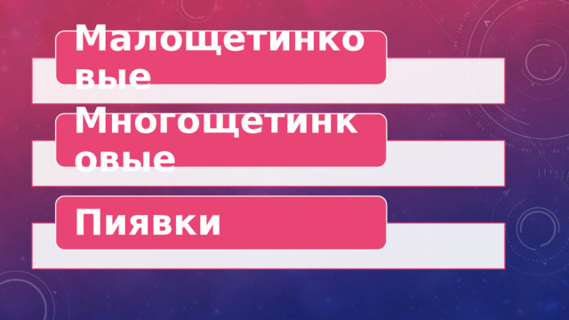 Малощетинковые Многощетинковые Пиявки 