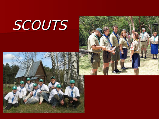 SCOUTS 