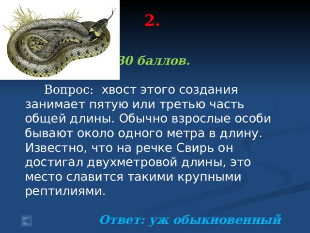 2.   30 баллов.   Вопрос: хвост этого создания занимает пятую или третью часть общей длины. Обычно взрослые особи бывают около одного метра в длину. Известно, что на речке Свирь он достигал двухметровой длины, это место славится такими крупными рептилиями.  Ответ: уж обыкновенный  