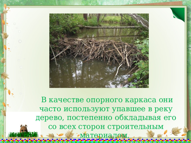  В качестве опорного каркаса они часто используют упавшее в реку дерево, постепенно обкладывая его со всех сторон строительным материалом. 