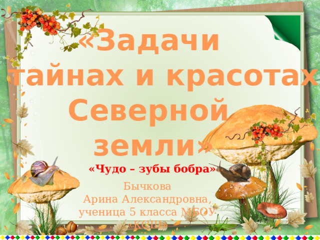 «Задачи о тайнах и красотах Северной земли» «Чудо – зубы бобра» Бычкова Арина Александровна, ученица 5 класса МБОУ «КСШ» 
