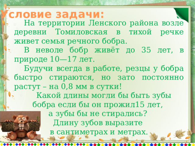 Условие задачи:  На территории Ленского района возле деревни Томиловская в тихой речке живет семья речного бобра.  В неволе бобр живёт до 35 лет, в природе 10—17 лет.  Будучи всегда в работе, резцы у бобра быстро стираются, но зато постоянно растут – на 0,8 мм в сутки!  Какой длины могли бы быть зубы бобра если бы он прожил15 лет, а зубы бы не стирались? Длину зубов выразите в сантиметрах и метрах. 