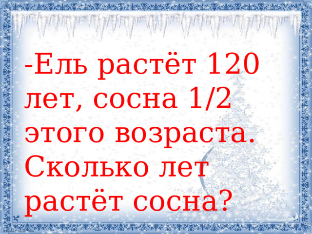 -Ель растёт 120 лет, сосна 1/2 этого возраста. Сколько лет растёт сосна? 