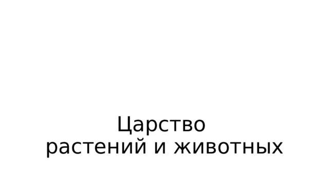 Царство  растений и животных 