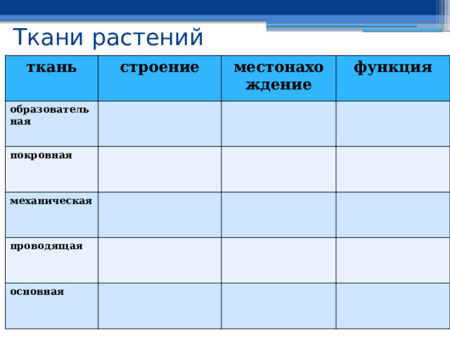 Ткани растений ткань строение образовательная местонахождение  покровная функция  механическая  проводящая основная  