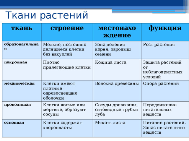 Ткани растений ткань образовательная строение Мелкие, постоянно делящиеся клетки без вакуолей покровная местонахождение  функция Зона деления корня, зародыш семени  Плотно прилегающие клетки механическая Рост растения проводящая Кожица листа  Клетки имеют плотные одревесневшие оболочки основная Клетки живые или мертвые, образуют сосуды Защита растений от неблагоприятных условий Волокна древесины Опора растений Сосуды древесины, ситовидные трубки луба  Клетки содержат хлоропласты Передвижение питательных веществ Мякоть листа Питание растений. Запас питательных веществ 