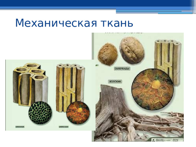 Механическая ткань 