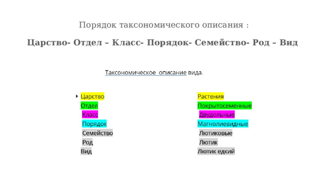 Порядок таксономического описания :   Царство- Отдел – Класс- Порядок- Семейство- Род – Вид 