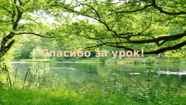 Спасибо за урок! 