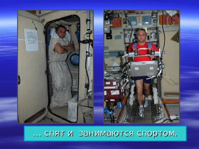 … спят и занимаются спортом. 