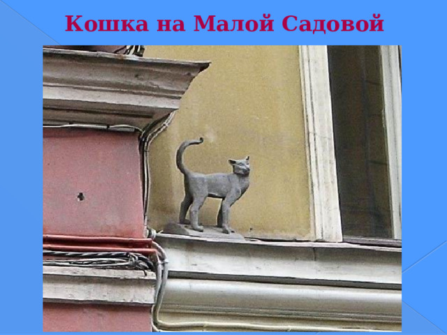 Кошка на Малой Садовой   
