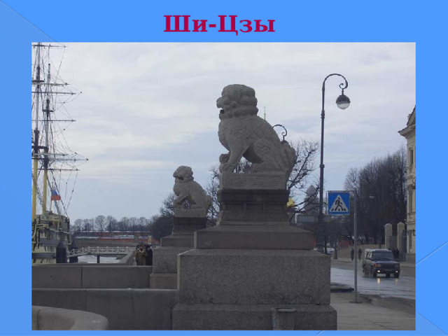 Ши-Цзы В 1907 году на Петровской набережной установили гранитные скульптуры «ши-цза» (мифологические львы-лягушки). В 1901–1903 годах набережную одели в гранит, оформили спуск к Неве, который и украсили этими статуями. В начале ХХ века они находились в городе Гирине, в Маньчжурии. Статуи предполагалось установить в храме генерала Чана, однако после смерти генерала новый губернатор Гирина дарит их приамурскому генерал-губернатору Н.И. Гродекову. Тот в свою очередь подарил статуи Санкт-Петербургу. Перевозка скульптур и установка на набережной были осуществлены за его счёт. За это он попросил на постаментах указать «Дар генерала от инфантерии Н.И. Гродекова», что и было сделано.  Один из этих «львов» мама, у неё под лапой львёнок, другой — папа. В Китае они охраняли семейный очаг  