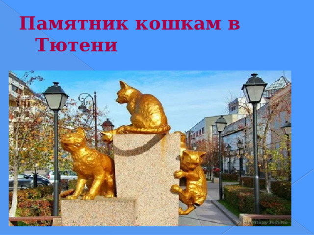 Памятник кошкам в Тютени 