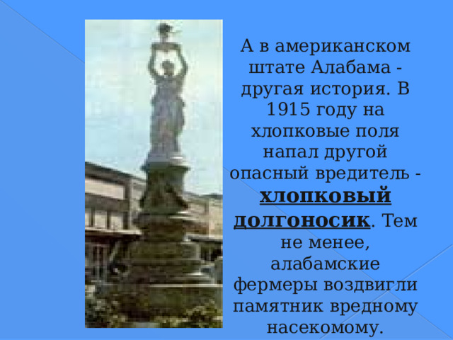 А в американском штате Алабама - другая история. В 1915 году на хлопковые поля напал другой опасный вредитель - хлопковый долгоносик . Тем не менее, алабамские фермеры воздвигли памятник вредному насекомому. Почему? В те времена хлопок был единственной культурой, которую возделывали фермеры в Алабаме. Он рос там отменно, и аграрии не хотели даже пробовать сеять что-либо другое. Однако долгоносики, истребив урожай, заставили фермеров срочно засевать поля несъедобными для этих насекомых растениями: картофелем, кукурузой, сахарным тростником, кормовыми травами… И в том же году дела у фермеров наладились, они не только покрыли убытки, но и получили немалую прибыль. Словом, как ни парадоксально, долгоносик оказался их благодетелем. И ему поставили памятник: богиня плодородия Церера держит на вытянутых руках над головой жучка-вредителя с длинным хоботком  