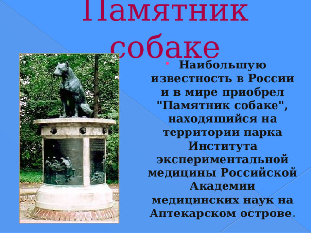 Памятник собаке Наибольшую известность в России и в мире приобрел 