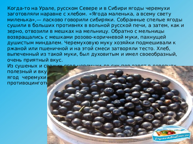 Когда-то на Урале, русском Севере и в Сибири ягоды черемухи заготовляли наравне с хлебом. «Ягода маленька, а всему свету миленька»,— ласково говорили сибиряки. Собранные спелые ягоды сушили в больших противнях в вольной русской печи, а затем, как и зерно, отвозили в мешках на мельницу. Обратно с мельницы возвращались с мешками розово-коричневой муки, пахнущей душистым миндалем. Черемуховую муку хозяйки подмешивали к ржаной или пшеничной и на этой смеси затворяли тесто. Хлеб, выпеченный из такой муки, был духовитым и имел своеобразный, очень приятный вкус. Из сушеных и свежих ягод черемухи до сих пор варят в деревнях полезный и вкусный кисель бордового цвета. Настой из ягод  черемухи  и  компот   исстари   применяли   как  вяжущее   и противоцинготное средство. 