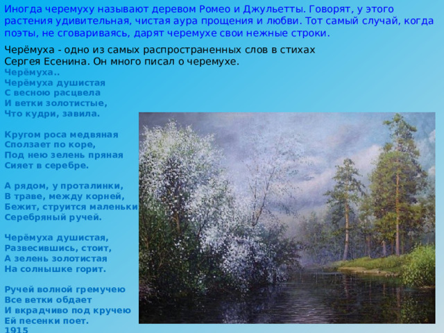 Иногда черемуху называют деревом Ромео и Джульетты. Говорят, у этого растения удивительная, чистая аура прощения и любви. Тот самый случай, когда поэты, не сговариваясь, дарят черемухе свои нежные строки. Черёмуха - одно из самых распространенных слов в стихах Сергея Есенина. Он много писал о черемухе.   Черёмуха..  Черёмуха душистая  С весною расцвела  И ветки золотистые,  Что кудри, завила.   Кругом роса медвяная  Сползает по коре,  Под нею зелень пряная  Сияет в серебре.   А рядом, у проталинки,  В траве, между корней,  Бежит, струится маленький  Серебряный ручей.   Черёмуха душистая,  Развесившись, стоит,  А зелень золотистая  На солнышке горит.   Ручей волной гремучею  Все ветки обдает  И вкрадчиво под кручею  Ей песенки поет.  1915 