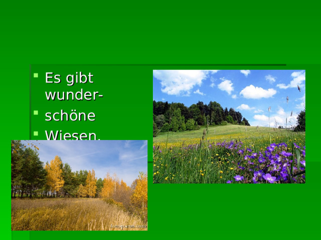 Es gibt wunder- sch ö ne    Wiesen .  