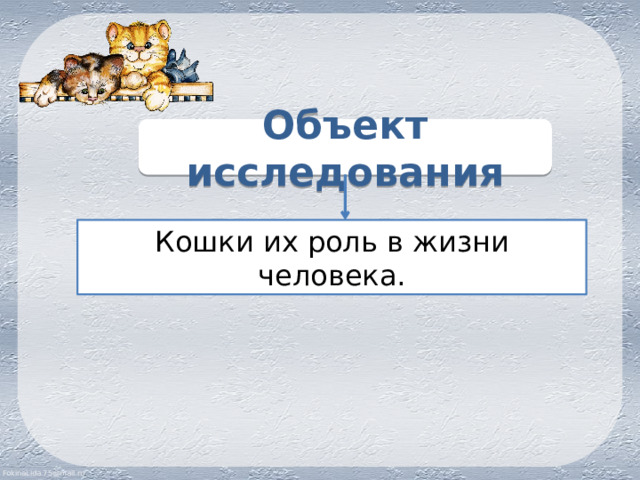 Объект исследования Кошки их роль в жизни человека. 