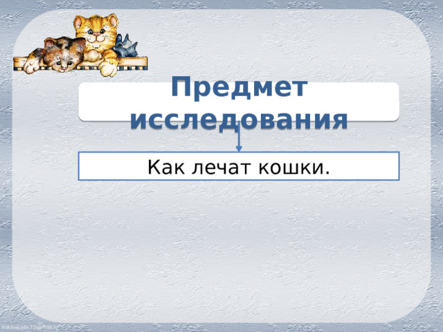 Предмет исследования Как лечат кошки. 