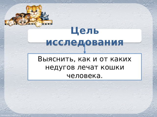Цель исследования Выяснить, как и от каких недугов лечат кошки человека. 