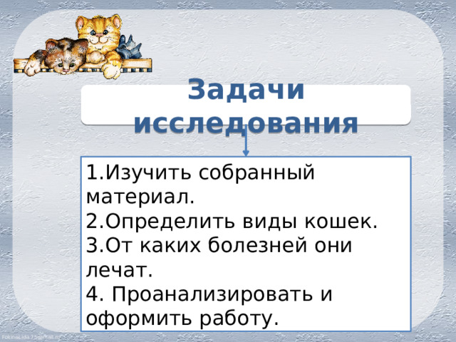 Задачи исследования 1.Изучить собранный материал. 2.Определить виды кошек. 3.От каких болезней они лечат. 4. Проанализировать и оформить работу. 