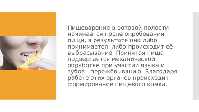 Пищеварение в ротовой полости начинается после опробования пищи, в результате она либо принимается, либо происходит её выбрасывание. Принятая пища подвергается механической обработке при участии языка и зубов - пережёвыванию. Благодаря работе этих органов происходит формирование пищевого комка. 