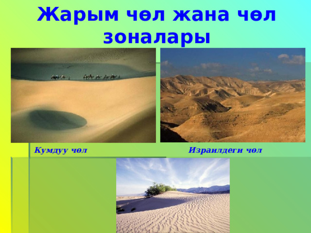 Жарым чөл жана чөл зоналары Кумдуу чөл Израилдеги чөл 
