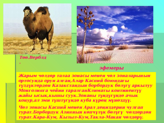 Төө.Верблд. эфемеры Жарым чөлдөр талаа зонасы менен чөл зоналарынын ортосунда орун алган,Алар Каспий боюндагы түздүктөрдөн Казакстандын борбордук бөлүгү аркылуу Монголияга чейин таралганКлиматы континентүү жайы ысык,кышы суук.Зонаны түндүгүндө ачык коңур,ал эми түштүгүндө куба күрөң мүнөздүү. Чөл зонасы Каспий менен Арал деңиздерин чулгап турат.Борбордук Азиянын көпчүлүк бөлүгү чөлдөрдөн турат.Кара-Кум, Кызыл-Кум,Такла-Макан чөлдөрү. 
