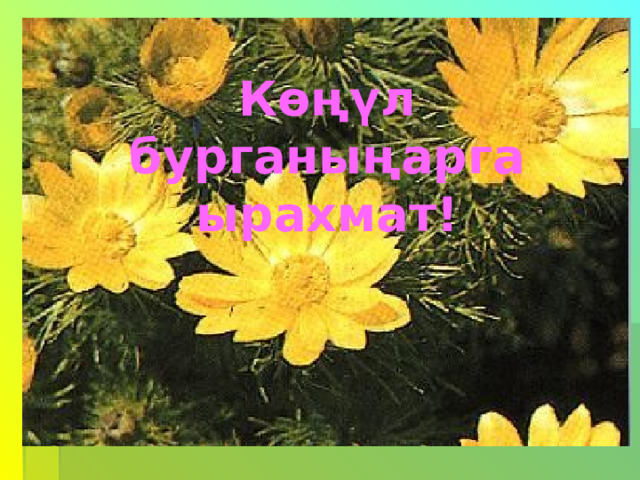 Көңүл бурганыңарга ырахмат!   