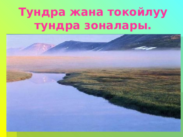 Тундра жана токойлуу тундра зоналары. 