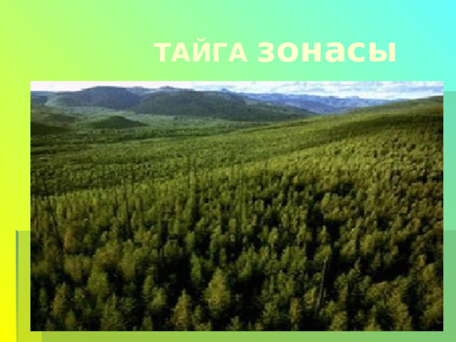  ТАЙГА зонасы 