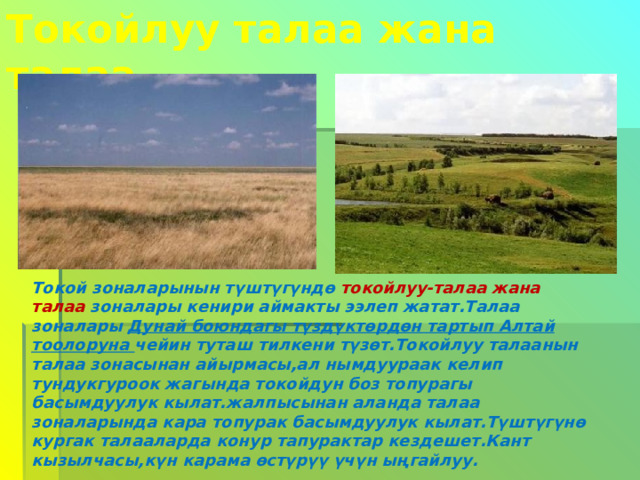 Токойлуу талаа жана талаа Токой зоналарынын түштүгүндө токойлуу-талаа жана талаа зоналары кенири аймакты ээлеп жатат.Талаа зоналары Дунай боюндагы түздүктөрдөн тартып Алтай тоолоруна чейин туташ тилкени түзөт.Токойлуу талаанын талаа зонасынан айырмасы,ал нымдуураак келип тундукгуроок жагында токойдун боз топурагы басымдуулук кылат.жалпысынан аланда талаа зоналарында кара топурак басымдуулук кылат.Түштүгүнө кургак талааларда конур тапурактар кездешет.Кант кызылчасы,күн карама өстүрүү үчүн ыңгайлуу. 