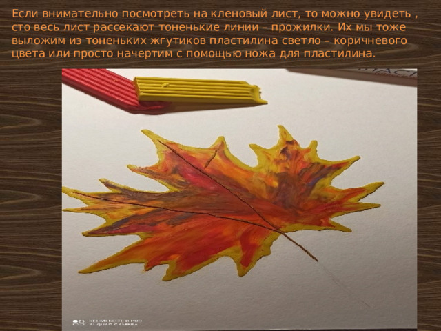Если внимательно посмотреть на кленовый лист, то можно увидеть , сто весь лист рассекают тоненькие линии – прожилки. Их мы тоже выложим из тоненьких жгутиков пластилина светло – коричневого цвета или просто начертим с помощью ножа для пластилина. 