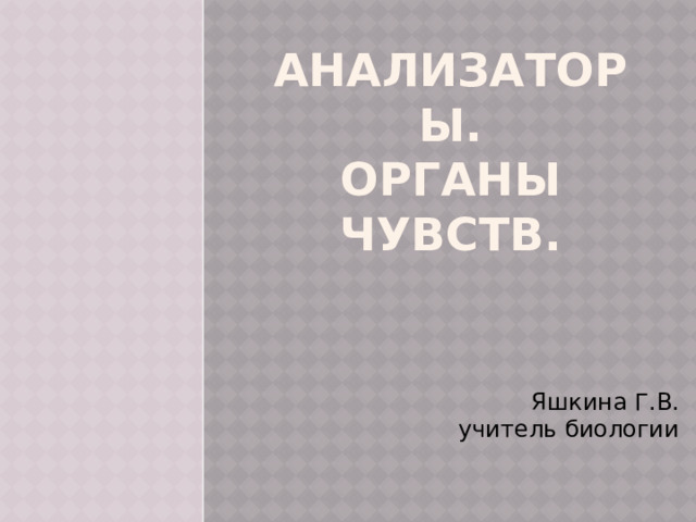 Анализаторы.  Органы чувств.   Яшкина Г.В. учитель биологии 