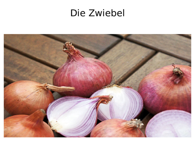 Die Zwiebel   