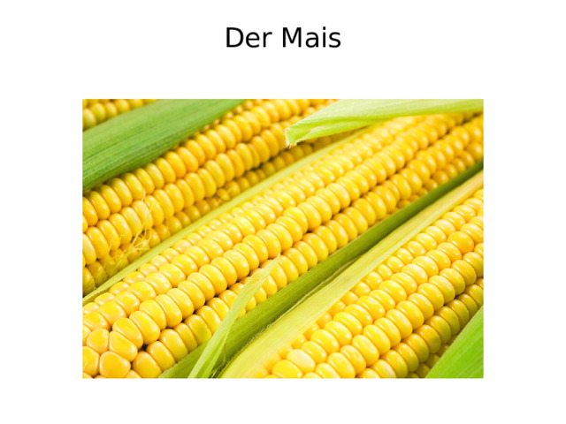 Der Mais   