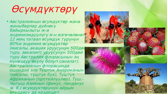 Өсүмдүктөрү Австралиянын өсүмдүктөр жана жаныбарлар дүйнөсү байыркылыгы ж-а эндемизмдүүлүгү м-н өзгөчөлөнөт. 12 миң татаал өсүмдүк түрүнүн 80%и эндемия өсүмдүктөр (мисалы, акация уруусунун 500дөй түрү, эвкалипт уруусунун 500дөй түрү Австралия флорасынын эң мүнөздүү өкүлү болуп саналат). Австралиянын флорасында ошондой эле Түштүк Американын (мисалы, түштүк бук), Түштүк Африканын (протейлүүлөр), Түш.-Чыгыш Азиянын (фикус, панданус ж. б.) өсүмдүктөрүнүн айрым өкүлдөрү да кездешет. 