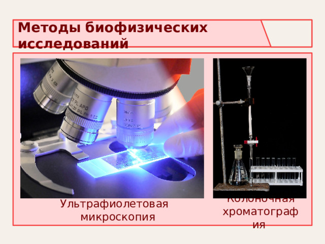 Методы биофизических исследований Ультрафиолетовая микроскопия     Колоночная хроматография  
