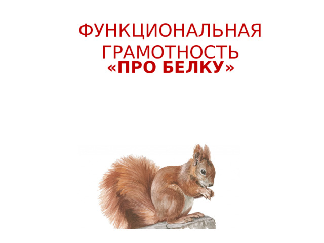 ФУНКЦИОНАЛЬНАЯ ГРАМОТНОСТЬ «ПРО БЕЛКУ» 