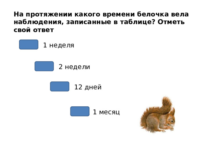 На протяжении какого времени белочка вела наблюдения, записанные в таблице? Отметь свой ответ 1 неделя 2 недели 12 дней 1 месяц 