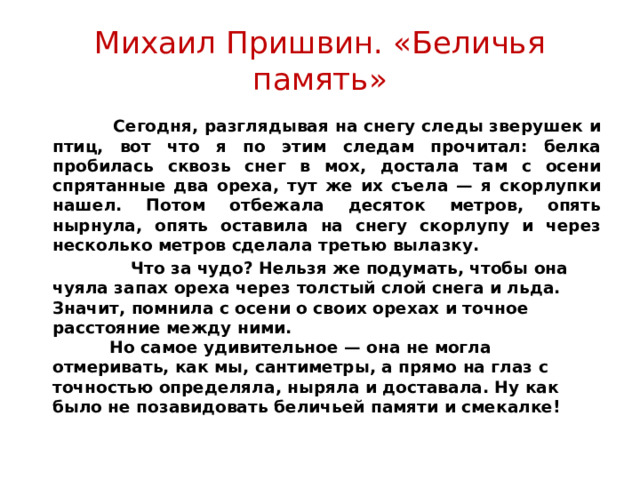 Михаил Пришвин. «Беличья память»  Сегодня, разглядывая на снегу следы зверушек и птиц, вот что я по этим следам прочитал: белка пробилась сквозь снег в мох, достала там с осени спрятанные два ореха, тут же их съела — я скорлупки нашел. Потом отбежала десяток метров, опять нырнула, опять оставила на снегу скорлупу и через несколько метров сделала третью вылазку.  Что за чудо? Нельзя же подумать, чтобы она чуяла запах ореха через толстый слой снега и льда. Значит, помнила с осени о своих орехах и точное расстояние между ними.  Но самое удивительное — она не могла отмеривать, как мы, сантиметры, а прямо на глаз с точностью определяла, ныряла и доставала. Ну как было не позавидовать беличьей памяти и смекалке! 