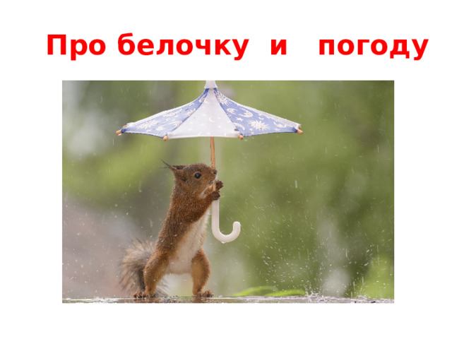 Про белочку и погоду 