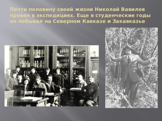 Почти половину своей жизни Николай Вавилов провел в экспедициях. Еще в студенческие годы он побывал на Северном Кавказе и Закавказье В 20-х годах Николай отправлялся в экспедиции уже со своими студентами, каждый раз возвращался с богатейшей коллекцией растений, служившей подкреплением к его открытиям. В 1924-м Вавилов первый из всех европейцев сумел посетить Нуристан, закрытую провинцию Афганистана. Потом бродил по Африке, Средиземноморье, Индии, откуда вернулся с новыми экземплярами для своей коллекции. Николай отметил, что в Индии им удалось обнаружить «прарожь». Экспедиция ученого прошла по пути великого полководца Александра Македонского.Источник: https://biographe.ru/uchenie/nikolay-vavilov  