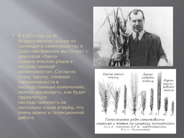 В 1920 году на III Всероссийском съезде по селекции и семеноводству в Саратове Вавилов выступает с докладом «Закон гомологических рядов в наследственной изменчивости». Согласно этому закону, понимая закономерности в наследственных изменениях, можно предвидеть, как будет проявляться наследственность на несколько ходов вперёд, что очень важно в селекционной работе. 919, 1920 – разгар Гражданской войны, казалось бы, какие уж тут научные открытия. Конечно, Николай Вавилов вполне мог эмигрировать в Германию или Англию, где он уже бывал и где его знали как перспективного учёного. Но, как он сам позднее ответит в интервью французской прессе, «Я служу не правительству, а России». Эту фразу ему потом припомнят в обвинительном заключении несколько лет спустя  