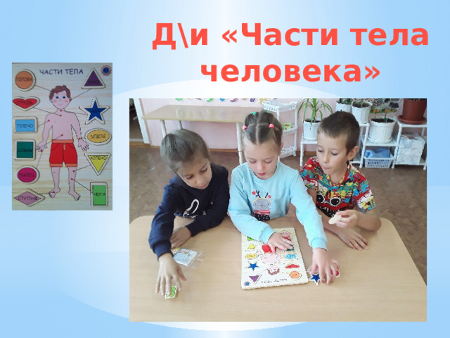 Д\и «Части тела человека» 