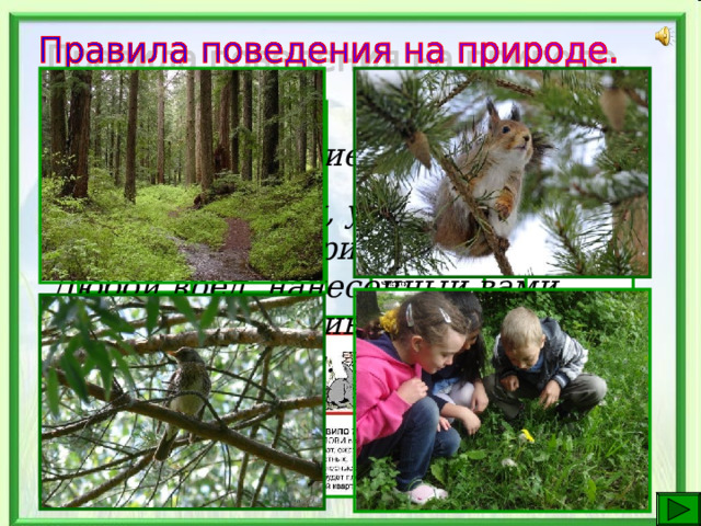 Дорогие друзья! Находясь в лесу, у речки, у озера, помните: Вы у природы в гостях. Любой вред, нанесённый вами природе, оборачивается прежде всего против вас. 